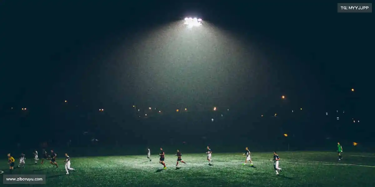 公海贵宾会官网jcjc5500——🏉热血橄榄球，碰撞出火花！